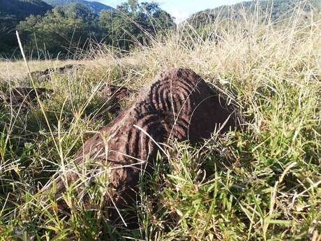 The Petroglyphs of Moindou