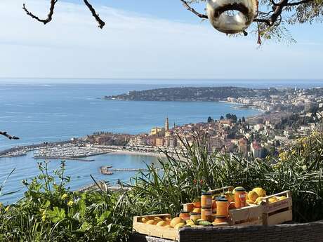 Sophie Petru – Excursion au domaine d’agrumes et patrimoine de l’eau