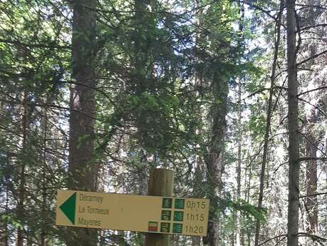 sentier pédestre : le Déramey par Burzier