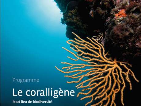 Conférences et table ronde : «Coralligène, qui es-tu ?»