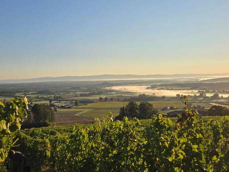 Rencontres gourmandes et festives