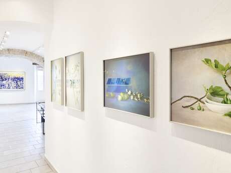 Exhibition "Mediums transfert: story from painting to photography"