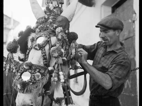 "La Saint-Eloi 1953 et 1967 - Archives d'une fête tendasque"
