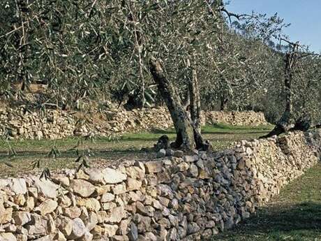 Breil - Piène Haute