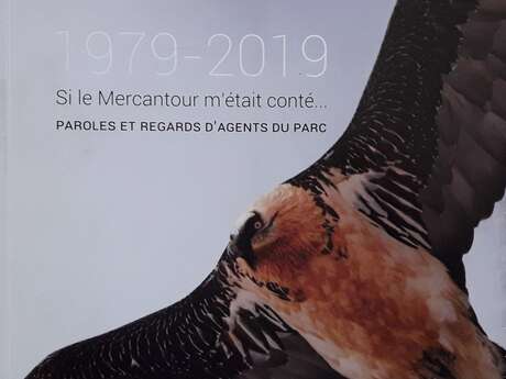 Histoires de gardes-moniteurs