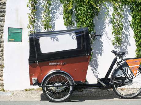 Handi bikes: Alquilar el taxi eléctrico de carga de Holland bikes