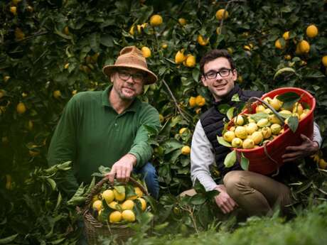 91ème Fête du Citron® - Maison Gannac / Pack Entrée + Visite PDJ sans navette OT