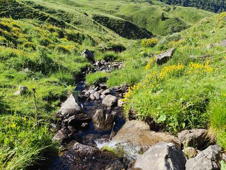 Les Sources de la Jordanne