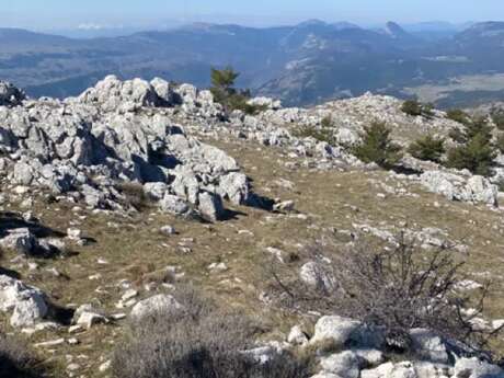 Atelier N°B : trail en Côte Gréolières 1400