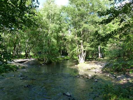 De la ripisylve au canal n°9