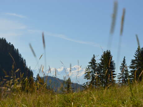 Rando'bus CHALUNE-CHAVASSE - Depuis le Praz de Lys