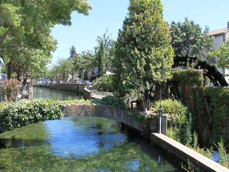 La Sorgue