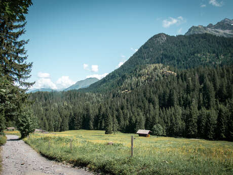 Randonnée VTT 6 - Boucle de Nant Borrant