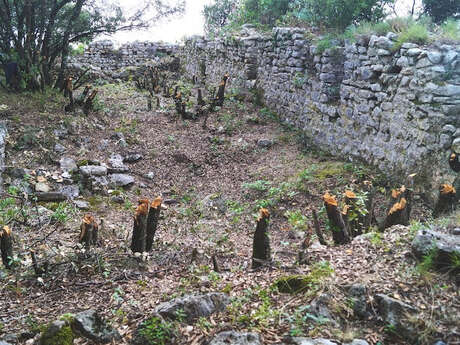 Perchement et habitats fortifiés dans le territoire de la Cité de Fréjus et ses marges au haut Moyen Âge
