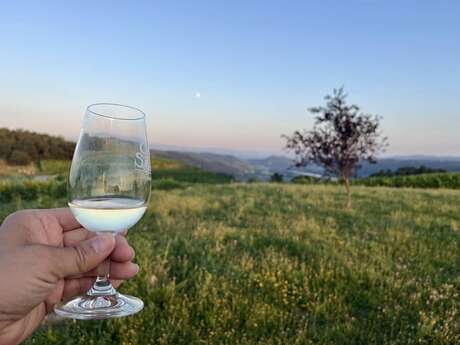 Apéro sunset dans les vignes (Domaine L. Bertrand)