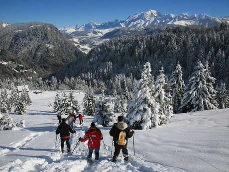 Supervised snowshoe outing with Mountain Access