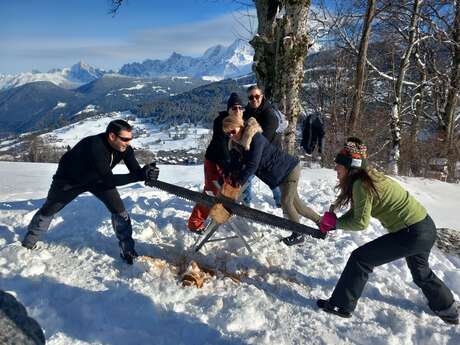 Olympiades des neiges