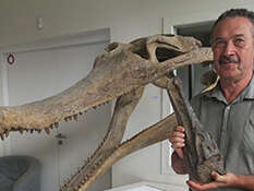 Conférence - Les dinosaures en France au Trias