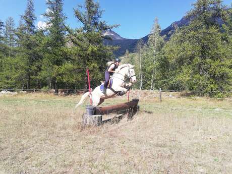 Equitation