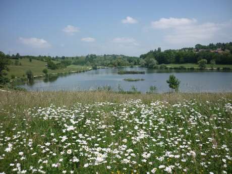 Picnic area - Lac de Machilly