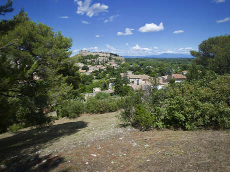 Il était une fois Villeneuve lez Avignon : les hauteurs de Villeneuve au Moyen Âge, espace de chasse ou terrain agricole