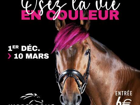 Meeting hippique d'hiver