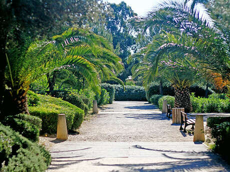 Parc Areca