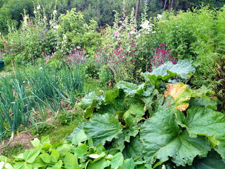 Un Jardin au Paradis