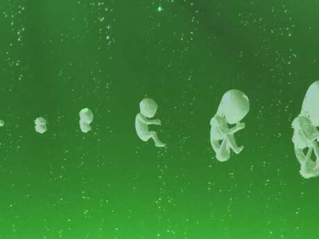 Créatures de substitution