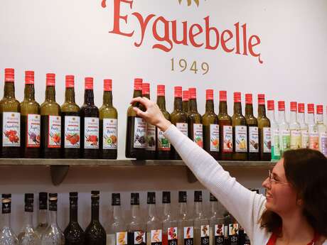Domaine Eyguebelle