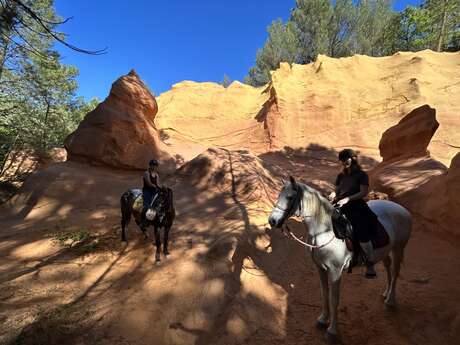 Provence Hipposervices