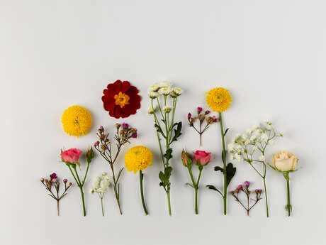 Atelier Création Florale à Mison : livre fleuri