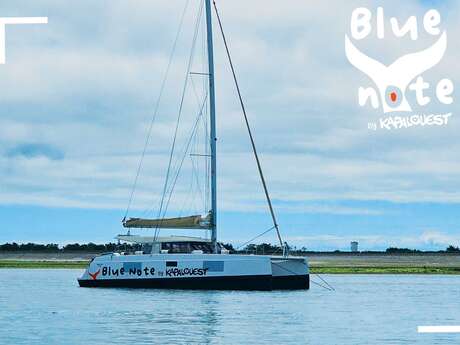 Sortie en mer sur catamaran à voile de 4h par Kapalouest - Blue Note