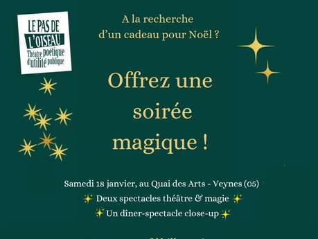 Le pas de l'oiseau : Ouverture de la Billetterie pour la saison théâtrale Janvier-Juin 2025