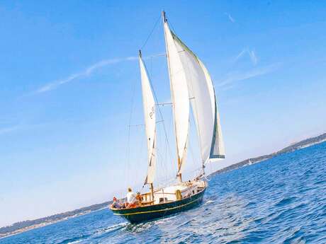 Sailing boat rental with Skipper - Cigno Nero