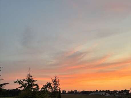 Les Rossignols 10 pers La palette