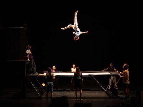 Cirque - Salto !