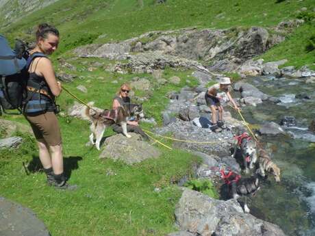 Cani rando, baptême cani kart et cani trott' avec Les traîneaux de la vallée des ours