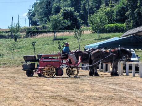 Fête de la St-Pierre