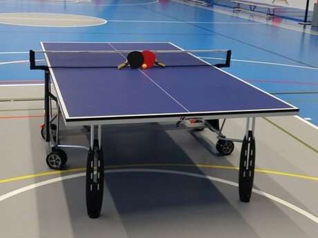 Table tennis - Verbier Sports Centre