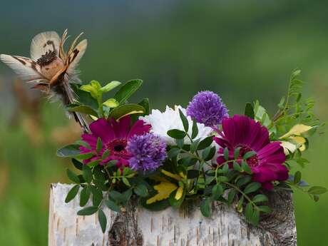 Atelier : création déco jardin, boule végétale