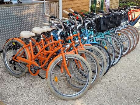 Bertrand Cycles - Cycle hire