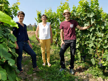 Les apéro'vignes foréziens - cave Verdier Logel