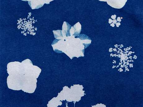 Atelier - Cyanotype