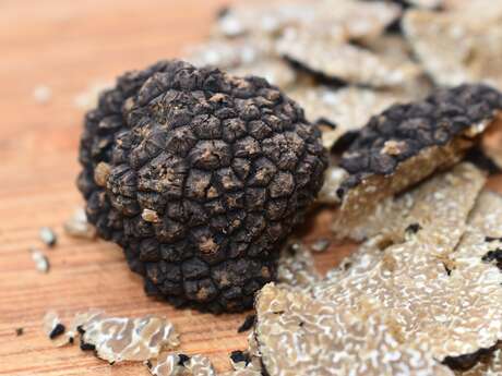 Balade nature : La truffe, un diamant noir en Provence