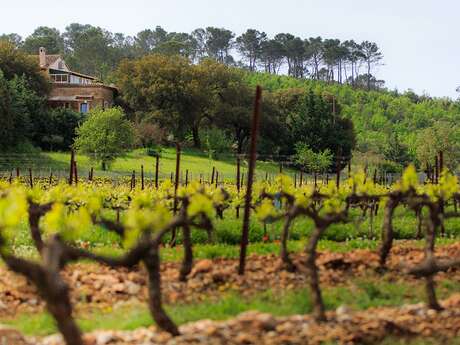 Domaine de Piqueroque