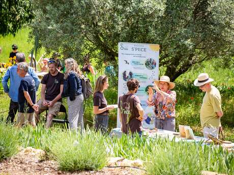 Biodiversity Festival