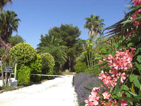 Campsite La Pinède