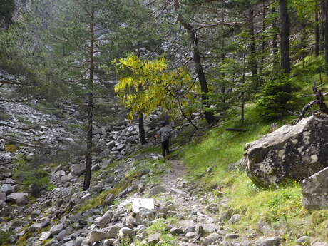 Trail n°14 - Tour de Tête Grosse depuis le col du Fanget