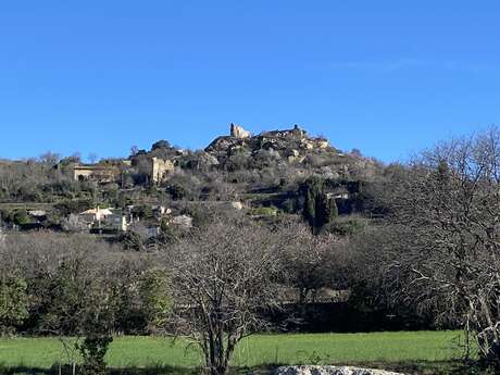 Ruines du château seigneurial de Vernègues